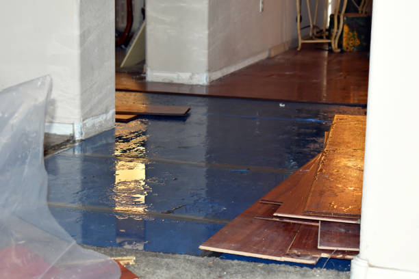 Professional Water Damage Restoration technician working in Mount Desert, ME